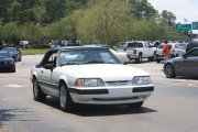White Mustang
